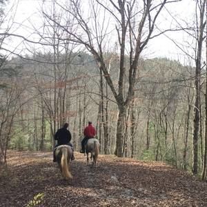 Meet your Posher, Matt